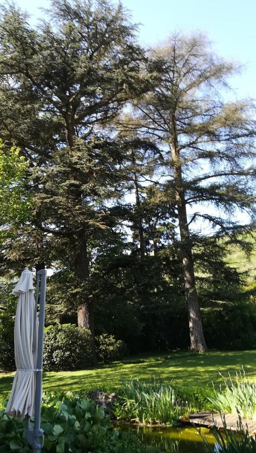 Les Palmiers Bed & Breakfast Mauves Exterior foto