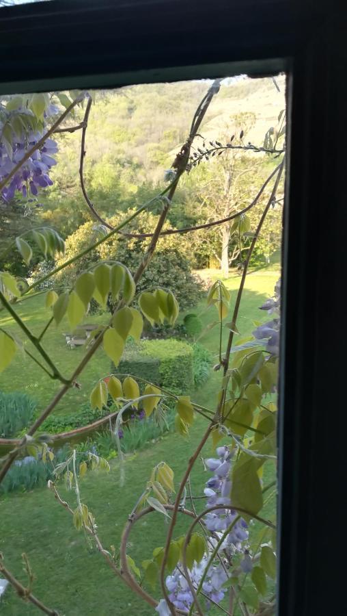 Les Palmiers Bed & Breakfast Mauves Exterior foto