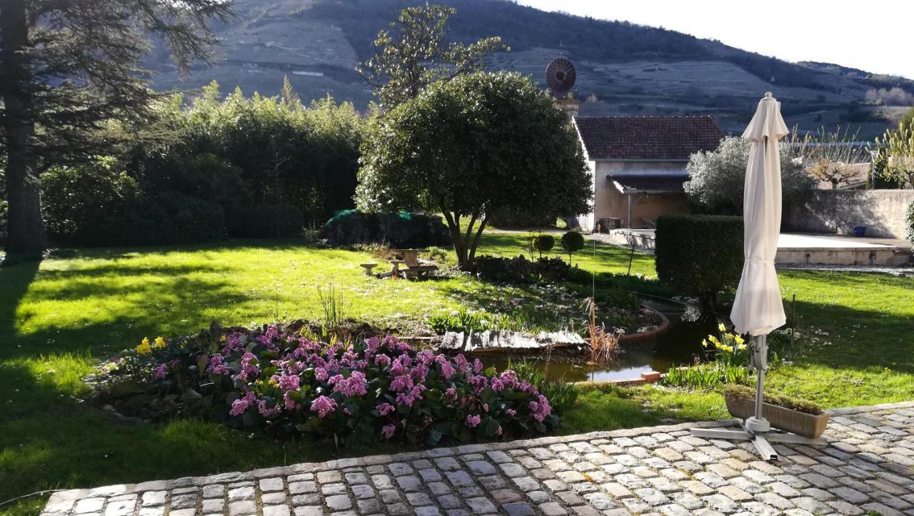 Les Palmiers Bed & Breakfast Mauves Exterior foto